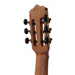 C320.206C Guitarra Clasica Vicente Tatay - Fondo de Palosanto con Tapa Maciza de Cedro