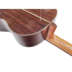 C320.206C Guitarra Clasica Vicente Tatay - Fondo de Palosanto con Tapa Maciza de Cedro