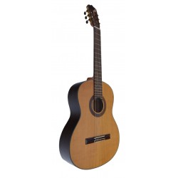 C320.206C Guitarra Clasica Vicente Tatay - Fondo de Palosanto con Tapa Maciza de Cedro