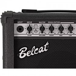 15G Amplificador de 15 W para Guitarra Electrica