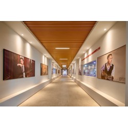 Jose Rincon MF3 CE Guitarra Flamenca de Cipres y Tapa Maciza CutAway y Previo Double MD100 (Nueva ES-08S CE-MFG y AS CE)