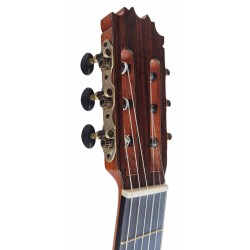 Antonio De Toledo Serie Legado Modelo AAT-15C - Tapa Maciza de Cedro y Fondo y Aros de Palosanto