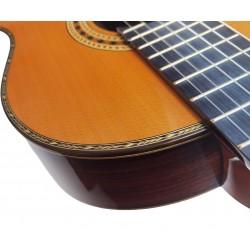 Antonio De Toledo Serie Legado Modelo AAT-15C - Tapa Maciza de Cedro y Fondo y Aros de Palosanto