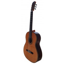 Antonio De Toledo Serie Legado Modelo AAT-19C - Tapa Maciza de Cedro y Fondo y Aros de Ziricote (Ciricote)