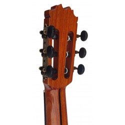 Antonio De Toledo Serie Legado Modelo AAT-19C - Tapa Maciza de Cedro y Fondo y Aros de Ziricote (Ciricote)