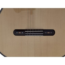 Antonio De Toledo Serie Legado Modelo AAT-15S - Tapa Maciza de Abeto y Fondo y Aros de Palosanto