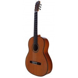 Antonio De Toledo Serie Legado Modelo AAT-18C - Tapa Maciza de Cedro y Fondo y Aros de Cocobolo