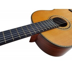 Antonio De Toledo Serie Legado Modelo AAT-18C - Tapa Maciza de Cedro y Fondo y Aros de Cocobolo