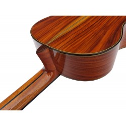 Antonio De Toledo Serie Legado Modelo AAT-18C - Tapa Maciza de Cedro y Fondo y Aros de Cocobolo