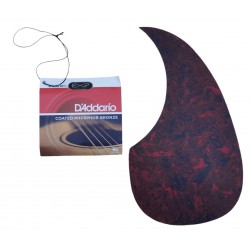 AV-5 Egmond – Guitarra Acústica Toda Maciza con Doble Refuerzo en el Mástil