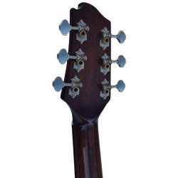 AV-5 Egmond – Guitarra Acústica Toda Maciza con Doble Refuerzo en el Mástil