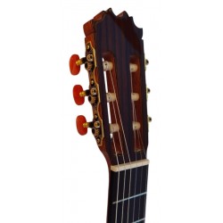 Antonio De Toledo Modelo F17 de Ziricote ATF-19