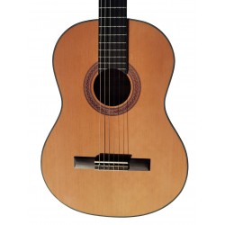 Vicente Tatay C320.302C Guitarra Clasica - Fondo de Sapeli con Tapa de Abeto - Acabado Brillo