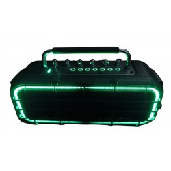 Amplificador Egmond EA-204 con Bateria hasta 16 horas y LEDS - 2 Altavoces de 6.5" - Ampli 480W MAX 120W RMS- Bluetooth