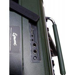 Amplificador Egmond EA-204 con Bateria hasta 16 horas y LEDS - 2 Altavoces de 6.5" - Ampli 480W MAX 120W RMS- Bluetooth