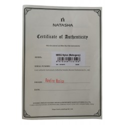 Guitarra Acustica Natasha JC3