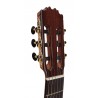 Jose Rincon MF3 Guitarra Flamenca de Tapa Maciza (Nueva ES-08S y MFG-AS)