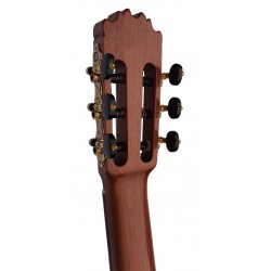 Jose Rincon MF5 Guitarra Flamenca de Palosanto y Tapa Maciza