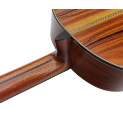 ATF-17N SANTOS Antonio De Toledo Modelo F17 Guitarra Flamenca Negra de Palo Santo Santos