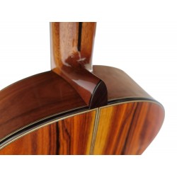 ATF-17N SANTOS Antonio De Toledo Modelo F17 Guitarra Flamenca Negra de Palo Santo Santos