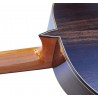 Jose Rincon MM6 Guitarra Clasica de Palosanto y Tapa Maciza (Nueva ES-06S y MCG-58S)