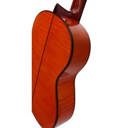 Antonio De Toledo Modelo ATF-17M Guitarra Flamenca de Arce Rizado Ambar