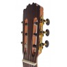 Jose Rincon MM2 Satinada Guitarra Clasica Tapa Maciza con Fondo De Caoba (MCG-48s - ES-04s - ES-10s)