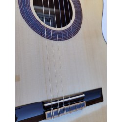 C320.590 PF Guitarra Flamenca Vicente Tatay - Fondo de Palosanto de Mexico con Tapa Maciza de Abeto - Acabado Brillo