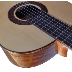 C320.590 PF Guitarra Flamenca Vicente Tatay - Fondo de Palosanto de Mexico con Tapa Maciza de Abeto - Acabado Brillo