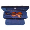 C370.444   Violin  Macizo 4/4 Brillo