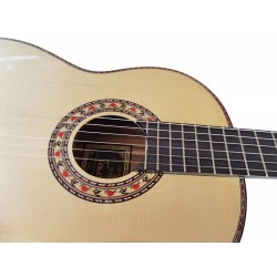 Antonio de Toledo • Modelo Tomatito Almeria Natural Guitarra Flamenca Negra de Palo Santo de Patagonia