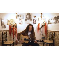 Antonio de Toledo • Modelo Tomatito Almeria Natural Guitarra Flamenca Negra de Palo Santo de Patagonia