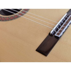 Antonio De Toledo AT-270S – Guitarra Clasica Toda Maciza de Palosanto y Tapa Maciza de Abeto