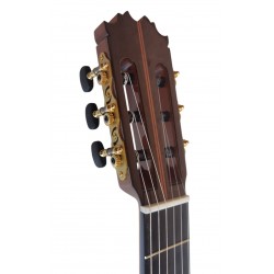 Antonio De Toledo AT-270S – Guitarra Clasica Toda Maciza de Palosanto y Tapa Maciza de Abeto