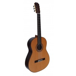 Antonio De Toledo AT-270C – Guitarra Clasica Toda Maciza de Palosanto y Tapa Maciza de Cedro