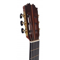 Antonio De Toledo AT-270C – Guitarra Clasica Toda Maciza de Palosanto y Tapa Maciza de Cedro