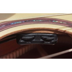 Egmond AV-20 – Guitarra Electroacústica Parlour Amplificada