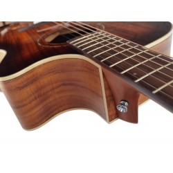 Egmond AV-64GACE SB – Guitarra Electroacústica Grand Auditorium con Cutaway Tapa Maciza de Ovangkol y Previo Fishman Presys II