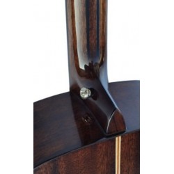 AV-5 Egmond – Guitarra Acústica Toda Maciza con Doble Refuerzo en el Mástil