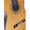 Antonio de Toledo • José María Gallardo del Rey - Guitarra clásica de Palosanto de Patagonia Tamaño SEÑORITA 630MM Y 640MM