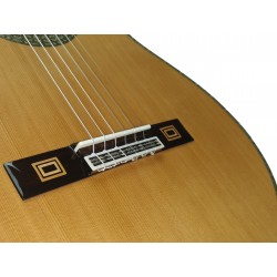 Antonio de Toledo • José María Gallardo del Rey - Guitarra clásica de Palosanto de Patagonia Tamaño SEÑORITA 630MM Y 640MM