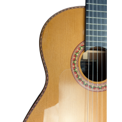 Antonio de Toledo • Modelo Tomatito Andalucia Guitarra Flamenca Negra de Pau Ferro tapa Torrefactada