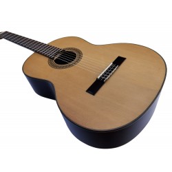 C320.306S Guitarra Clasica Vicente Tatay - Fondo de Palosanto con Tapa Maciza de Abeto - Acabado Brillo