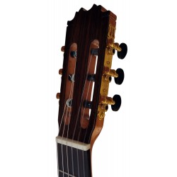 C320.306S Guitarra Clasica Vicente Tatay - Fondo de Palosanto con Tapa Maciza de Abeto - Acabado Brillo