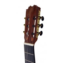 C320.305C Guitarra Clasica Vicente Tatay - Fondo de Sapeli con Tapa Maciza de Cedro - Acabado Brillo