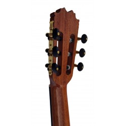 C320.305C Guitarra Clasica Vicente Tatay - Fondo de Sapeli con Tapa Maciza de Cedro - Acabado Brillo
