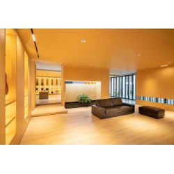 Jose Rincon MM4 Tiro 630 Señorita - Brillo Guitarra Clasica TODA MACIZA con Fondo De Caoba (MCG-48 - ES-04 - ES-10 y MCG-118)