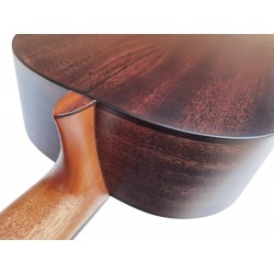 Jose Rincon MM2 Brillo Guitarra Clasica Tapa Maciza con Fondo De Caoba (MCG-48s - ES-04s - ES-10s)