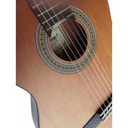 Jose Rincon MM2 Brillo Guitarra Clasica Tapa Maciza con Fondo De Caoba (MCG-48s - ES-04s - ES-10s)