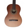 Jose Rincon MM2 Brillo Guitarra Clasica Tapa Maciza con Fondo De Caoba (MCG-48s - ES-04s - ES-10s)